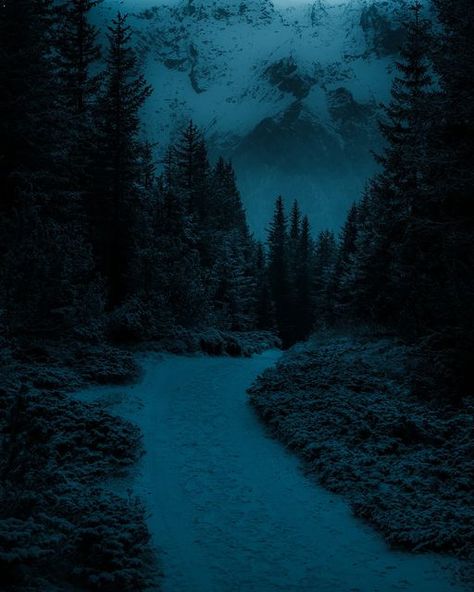 Eternal Winter Aesthetic, Snowy Dark Forest, Dark Snowy Forest Aesthetic, Snowy Forest Aesthetic, Snowy Mountains Aesthetic, Dark Snowy Forest, Dark Winter Aesthetic, Cold Forest, Cold Aesthetic