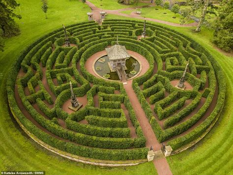 Garden Mazes, Maze Garden, Amazing Maze, Dumfries House, Labyrinth Garden, Garden Ideas Uk, Garden Maze, Labyrinth Maze, Pagoda Garden