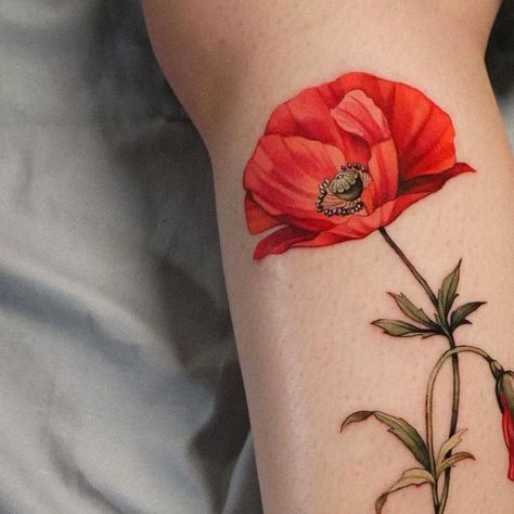 Iceland Poppy Tattoo, Poppy Color Tattoo, Iceland Poppy, Papaver Rhoeas, Poppy Tattoo, Poppies Tattoo, Poppy Color, Botanical Tattoo, Skin Art