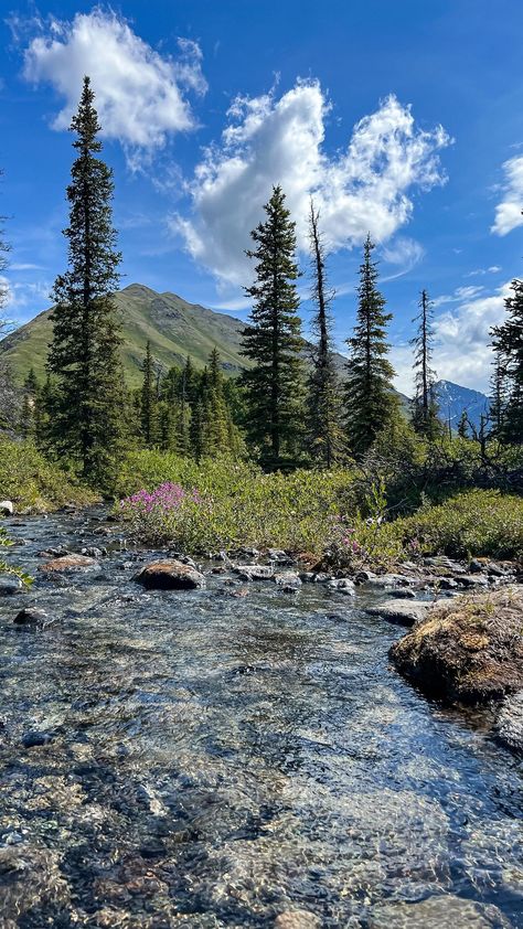 Camping Aesthetic Outfits, Granola Girl Summer, Granola Girl Aesthetic Outfits, Alaska Nature, Devney Perry, Place Aesthetic, Granola Style, Girl Aesthetic Outfits, Aesthetic Place