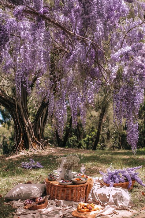 Embrace the enchantment of spring with a dreamy picnic under a canopy of cascading wisteria blooms. Picnic Under Tree, Wisteria Canopy, Wisteria Aesthetic, Wisteria Trees, Dreamy Picnic, Flower Picnic, Picnic Place, Wisteria Color, Wisteria Garden