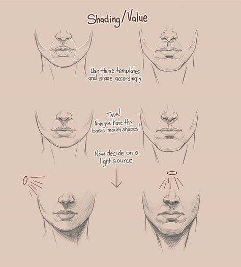 Drawing Face Shapes, Burne Hogarth, Face Shapes Guide, Drawing Male, Sketching Tips, Drawing Tutorial Face, Human Anatomy Drawing, Human Head, Drawing Book