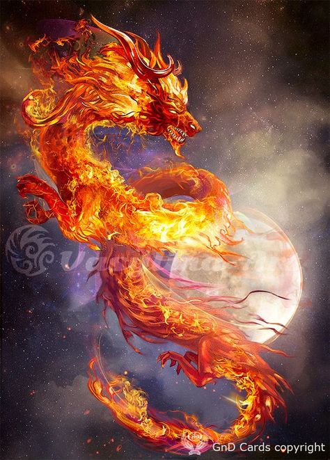 Fire Dragon Dragon Made Of Fire, Tato Naga, Eastern Dragon, Dragon Fire, Fire Breathing Dragon, Fire Breathing, Asian Dragon, Cool Dragons, Beautiful Dragon