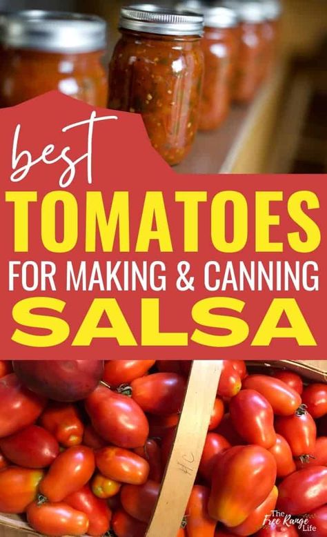 Best Tomatoes For Canning, Canning Salsa Recipes, Best Tomatoes For Salsa, How To Can Salsa, Tomatoes For Canning, Roma Tomato Recipes, Homemade Canned Salsa, Best Canned Tomatoes, Can Salsa