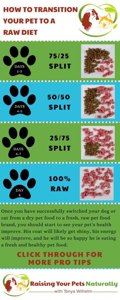 Raw Cat Food Diet, Caramel Food, Raw Dog Food Diet, Raw Cat Food Recipes, Homemade Cat Food, Pets Food, Raw Pet Food, Dog Medicine, Cat Expressions