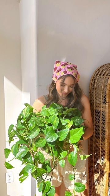 Michelle Reed Gauthier on Instagram: "a simple diy for that random nook 🪴🧚💫💭🫶🏼 @clarapeirce inspired me! . . . #plantlover #plantdiy #diyplanter #wallplanter #diyhomedecor #easydiy #herbgarden #herbgardening #apartmentliving #apartmenthacks #apartmentdiy #apartmentgardening #simplegarden #gardendesign #planters #apartmenttherapy" Michelle Reed Gauthier, Michelle Reed, Apartment Hacks, Slow Life, Apartment Garden, Diy Planters, Diy Plants, Wall Planter, Simple Diy