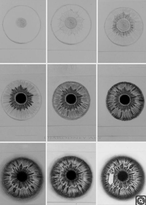 Draw Eye, Eye Drawing Tutorials, Eye Sketch, Siluete Umane, Seni Dan Kraf, Realistic Eye, Drawing For Beginners, Pencil Art Drawings, Creative Drawing