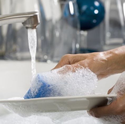 Hands washing a plate Washing Plates, Engineering Poster, Dishwasher Filter, Dishwasher Tabs, Dishwasher Cleaning, Cleaning Your Dishwasher, Miele Dishwasher, Books 2024, Dishwasher Cleaner