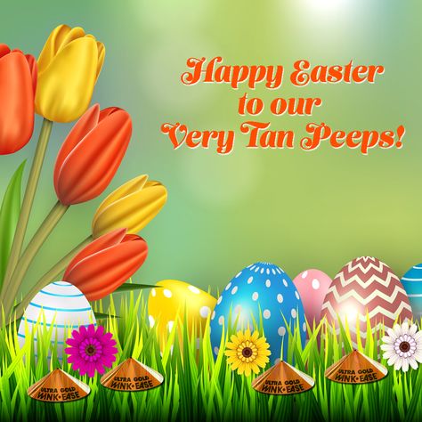 Easter Tanning Quotes, Easter Window Display, Tanning Salons, Tanning Quotes, Easter Window, Outdoor Tanning, Spray Tan Business, Miami Vibes, Tanning Salon