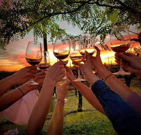 Group from last night at Lorimar winery. Love the sunset tours. Such a unique experience!  More info www.rockinwine.com/  #temecula #winecountry #sunset #winetasting #temeculawinecountry #bachelorette #bridetobe #wedding #Bridesmaids #fun #wine #winery Temecula Bachelorette, Bachelorette Winery, Winery Bachelorette Party Ideas, Wine Tour Bachelorette, Winery Bachelorette Party, Done Face, Bridal Theme, Bride To Be Sash, Dirty Thirty