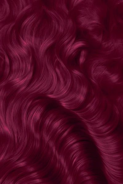 Arctic Fox Purple Rain, Artic Fox Hair, Fox Hair Dye, Dark Pink Hair, Color Spotlight, Arctic Fox Hair Dye, Pink Hair Dye, Arctic Fox Hair Color, Hair Color Burgundy