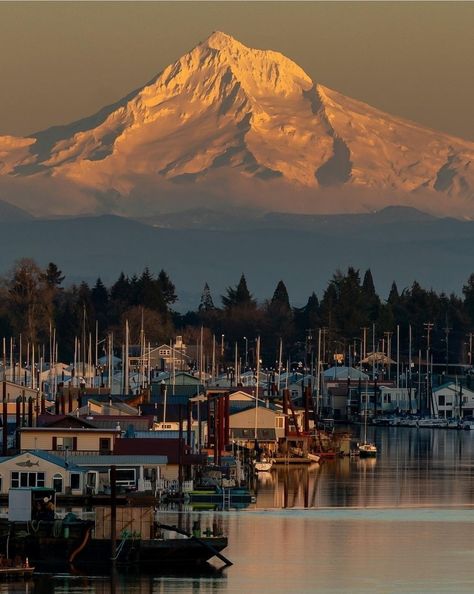 #Seattle Must See - #mounthood 🏔 🗻⛰#Washington, the most beautiful state in the Pacific Northwest. 🌲#pnw #pnwtravel #WashingtonState #emeraldcity #mountains #travel 🛫 #tourism #travelseattle #mthood #cascademountains #olympicmountains Travel Pacific Northwest, Dupont Washington State, Pacific Northwest Mountains, Washington State House Aesthetic, Tacoma Washington Things To Do In, Seattle Washington Aesthetic, Washington State Summer, Washington State Aesthetic, Washington State Road Trip