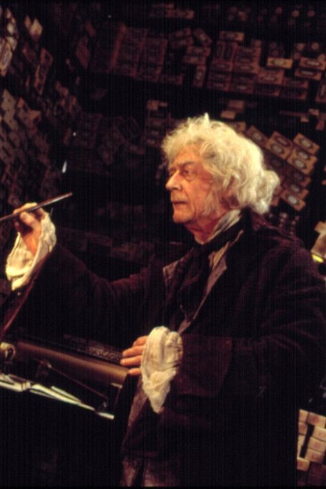 Philosopher Stone, Garrick Ollivander, John Hurt, Harry Potter Print, Snape Harry, Harry Potter Scene, Actor John, Harry Potter 2, Harry Potter Cast