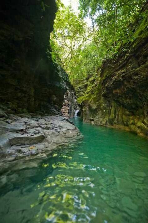 Dominican Republic Damajagua Waterfalls, Super Photo, Getting Wet, Wet And Wild, Nature Scenery, Beautiful Vacations, The Dominican Republic, Beautiful Country, Vacation Places