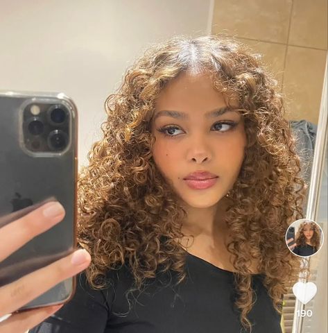 Curly Light Brown Hair, Cheveux Oranges, Golden Brown Hair Color, Brown And Blonde, Dyed Curly Hair, Golden Brown Hair, Highlights Curly Hair, Honey Brown Hair, Brown Curly Hair