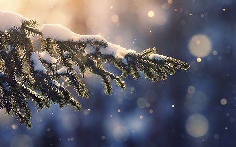 4K Winter wallpapers for iPhone, iPad, or MacBook Christmas Wallpaper Ipad, Christmas Wallpaper Hd, Christmas Desktop Wallpaper, Wallpaper Macbook, Christmas Background Images, Christmas Desktop, Laptop Wallpaper Desktop Wallpapers, Zero Wallpaper, Christmas Wallpaper Backgrounds