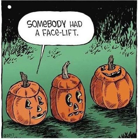 Somebody Has A Face-Lift halloween halloween pictures halloween images halloween quotes funny halloween quotes halloween pics halloween image quotes Funny Halloween Memes, Happy Halloween Quotes, Halloween Humor, Halloween Quotes Funny, Halloween Jokes, Halloween Memes, Speed Bump, Halloween Quotes, Halloween Cartoons