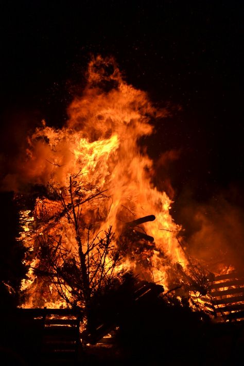 burning christmas trees Africa Burn, Burning Tree, Burning Building, Burning House, Halloween Post, Fantasy Story, Year 2, Dark Aesthetic, Tree House