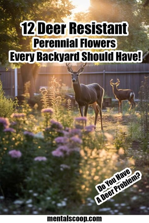 12 Deer Resistant Perennial Flowers Every Backyard Should Have! - Mental Scoop Deer Resistant Landscaping, Deer Deterent, Deer Resistant Flowers, Deer Resistant Garden, Deer Repellant, Deer Resistant Perennials, Full Sun Perennials, Deer Resistant Plants, Perennial Flowers