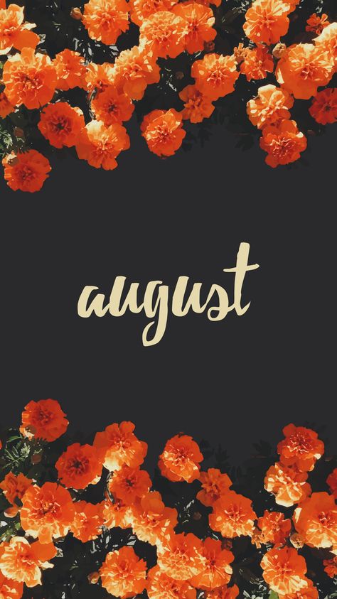 August Wallpaper Explore more 31 Days, August, Gregorian, Holiday, month wallpaper. https://www.whatspaper.com/august-wallpaper-3/ August Wallpaper Aesthetic, August Background, August Wallpaper, August Flowers, August Calendar, Hello August, Calendar Wallpaper, Wallpaper Dekstop, Spring Wallpaper