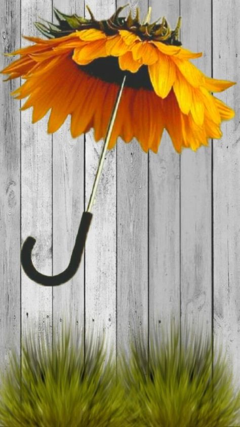 Umbrella Decorations, Sunflower Pictures, Paper Umbrellas, Giant Flowers, Make Paper, Home Diy Decor, Budget Home, Diy Projects On A Budget, Home Diy Projects