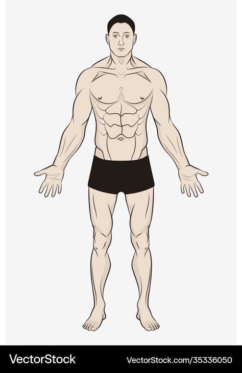 Man Full Body Drawing, Body Drawing Simple, Human Anatomy Poster, Full Body Drawing, Man Full Body, Side View Drawing, Drawing Men, View Drawing, Boy Body