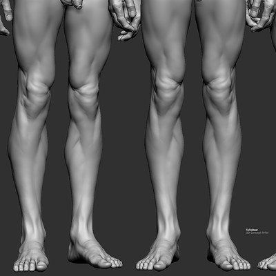 ArtStation - ToTo Dost Legs Reference, Zbrush Anatomy, Study Anatomy, Leg Reference, Leg Anatomy, Foot Anatomy, Zbrush Models, 3d Karakter, Life Drawing Reference