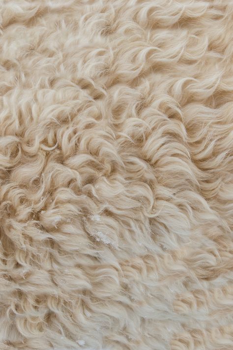 Fabric Texture Pattern, Fur Texture, Texture Inspiration, Fluffy Rug, Fabric Textures, Tapeta Pro Iphone, Photos Hd, Extra Curricular, Fur Fabrics