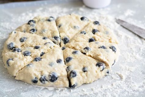 Buttery, moist, and tender homemade Blueberry Scones are perfectly sweetened and wonderful for Sunday brunch! Blueberry Scones Recipe Pioneer Woman, Large Batch Scones, High Altitude Scones, Scones Lemon, Blueberry Scones Recipe, Scones Recipe Easy, Scone Recipes, Frozen Berries, Blueberry Scones