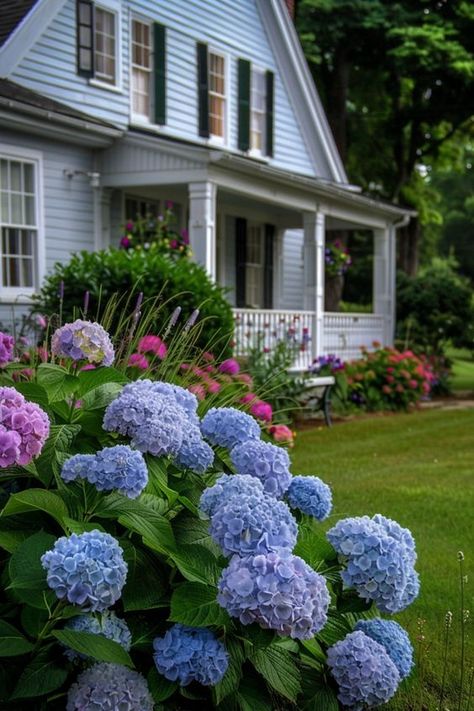 Use these landscaping tips if you have a small front yard that you just don't know how to style. Cape Cod Landscaping Front Yards, Front Yard Hydrangea, Covered Front Porch Ideas, Small Front Yard Landscaping Ideas, Adding Curb Appeal, Cape Cod Landscaping, Hydrangea Landscaping, Small Front Yard Landscaping, Small Front Yard