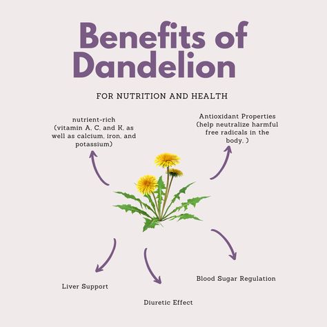 Here are some benefits of dandelions Dried Dandelion, Benefits Of Dandelion, Dandelion Benefits, Dandelion Flowers, Liver Support, Dried Herbs, Dandelion Flower, Free Radicals, Aloe Vera Gel