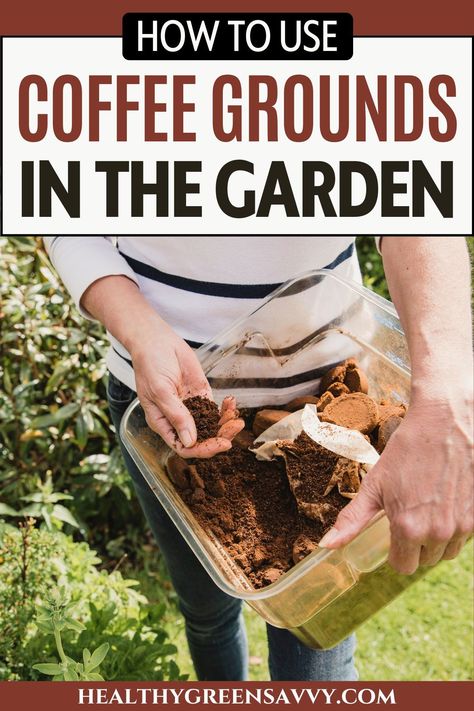 Wondering if you can use coffee grounds to feed your plants? Before you use them in your garden, make sure you learn about using coffee grounds correctly. | coffee ground uses | gardening tips | DIY fertilizer | Coffee Grounds In The Garden, Coffee Grounds For Plants, Coffee Grounds As Fertilizer, How To Make Compost, List Of Vegetables, Uses For Coffee Grounds, Garden Coffee, Coffee Uses, Plants Indoor