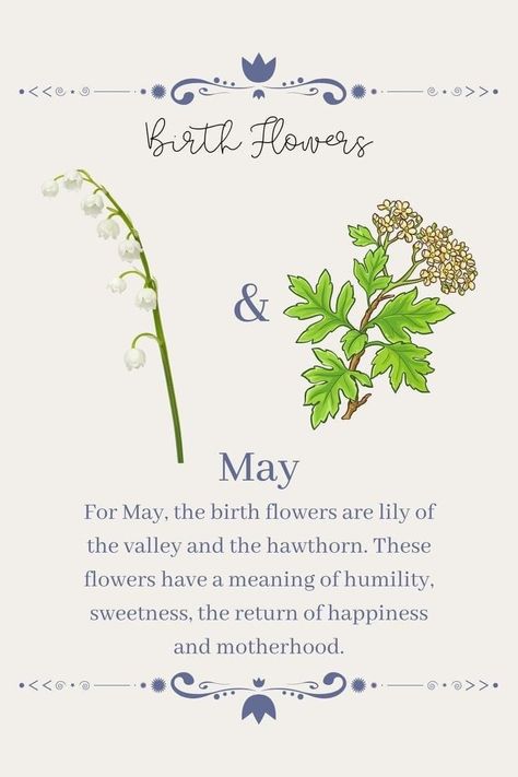 Lily Of Valley Meaning, May Birth Flower Lily Of The Valley, Lily Of The Valley Birth Flower, Lily Of The Valley And Hawthorn, Hawthorne Flower Meaning, Hawthorne And Lily Of The Valley Flower Tattoo, Hawthorn And Lily Of The Valley Tattoo, Lily Meaning Flower, Lily Of The Valley Hawthorn Tattoo