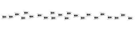 Ant trail A line of worker ants marching in search of food Vector illustration horizontal banner Ant road column Teamwork Hard work metaphor Black insect silhouettes traveling Isolated Ant Trail, Black Insects, Ant Species, Food Vector, Teamwork, Ants, Hard Work, Vector Art, Vector Illustration