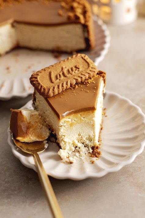 This biscoff cheesecake is made with a biscoff cookie crust, creamy spiced cheesecake, and a layer of biscoff spread on top. It's the ultimate cheesecake for biscoff lovers! #biscoff #cheesecake | teakandthyme.com Spiced Cheesecake, Easy Turkey Recipes Thanksgiving, Ultimate Cheesecake, Lotus Cheesecake, Caramel Cheesecake Recipes, Creamy Chicken Pasta Recipes, Biscoff Recipes, Biscoff Cheesecake, Biscoff Spread