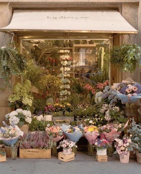 persephone aesthetic | #persephone #goddessofthespring #queenoftheunderworld #greekmythgology #greekmythologyaesthetic #flowers #spring Korean Flower Shop, Aesthetic Flower Shop, Flower Shop Aesthetic, Seni Pastel, A Bunch Of Flowers, Nothing But Flowers, Flower Therapy, Images Esthétiques, Spring Aesthetic