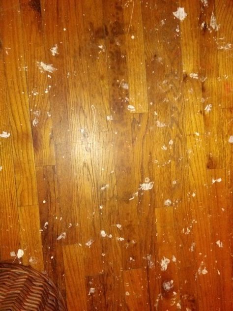 Paint Hardwood Floors Diy, How To Remove Paint From Wood Floors, Rust Color Paint, Caulk Baseboards, Removing Popcorn Ceiling, Diy Wood Floors, Painting Carpet, Water Candle, Round Moulding