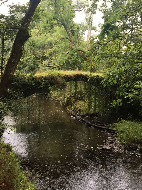 Pretty little bridge #forest #bridge #river #green #cottagecore #vines #aesthetic #wales French Forest Aesthetic, Nature Widgets Aesthetic, Forest Bridge Aesthetic, River Forest Aesthetic, River In Forest Aesthetic, Indie Forest Aesthetic, River Asthetic Picture, Rivercore Aesthetic, Cottagecore Aesthetic Boy