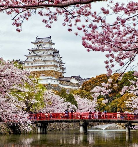 TOP 10 Tourist Attractions in Japan You Must Visit - Must Visit Destinations Japan Tourist Spots, Castle White, Japan Honeymoon, Cities In Korea, Japan Beach, Japan Tourist, Himeji Castle, Japan Country, Japan Vacation