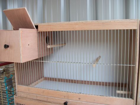 Love Birds Cage Ideas, Canary Cage, Budgie Cage, Diy Bird Cage, Birds Cage, Bird Cage Design, Cage Bird, Parakeet Cage, Pet Bird Cage