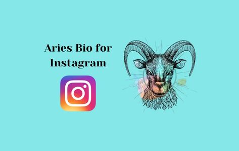 Pronouns For Instagram Bio, Bio For Instagram, Insta Bio, Quotes For Instagram, Instagram Bio, Like Instagram, Quotes, Instagram