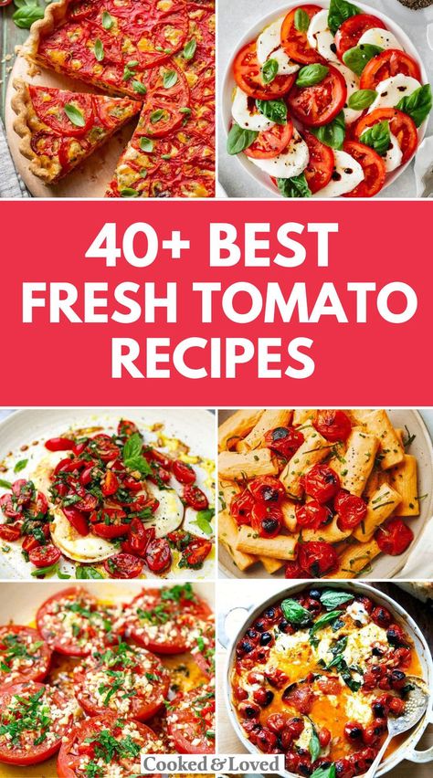 40 Gorgeous Fresh Tomato Recipes Roma Tomato Recipes, Garden Tomato Recipes, Cherry Tomato Appetizers, Tomato Appetizers, Cherry Tomato Recipes, Fresh Tomato Recipes, Summer Tomato, Easy Summer Meals, Cherry Recipes