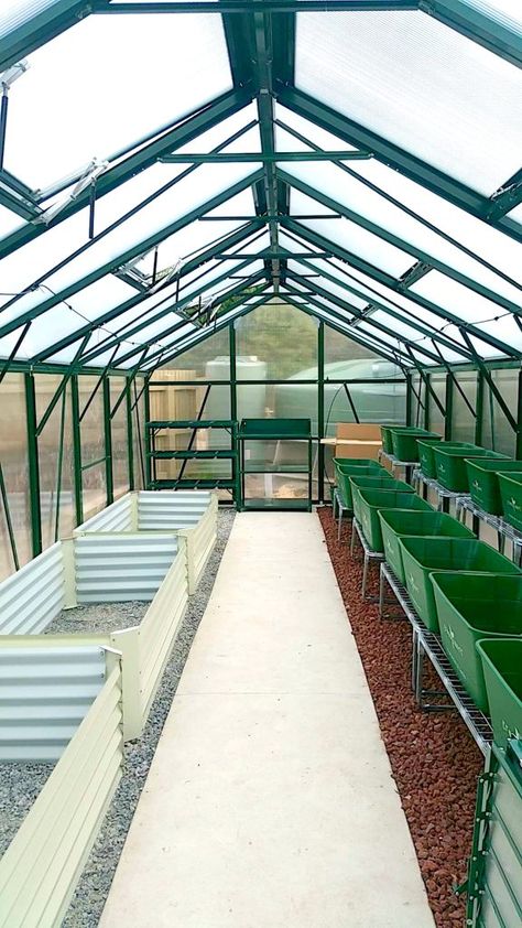 Year Around Greenhouse, Green Houses Ideas Greenhouse Plans, How To Greenhouse, Greenhouse Designs Ideas, Green House Garden Ideas, Inside The Greenhouse, Big Green House Ideas, Simple Green House Ideas, Green House Layout Ideas