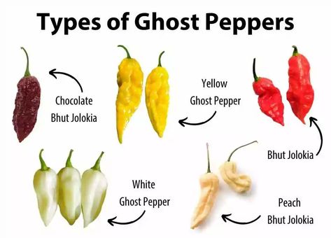 Exploring the African Ghost Pepper Ghost Chili, Bhut Jolokia, Ghost Pepper, Ghost Peppers, Yellow Pepper, Pepper Plants, Hottest Chili Pepper, Chilli Pepper, Pepper Sauce