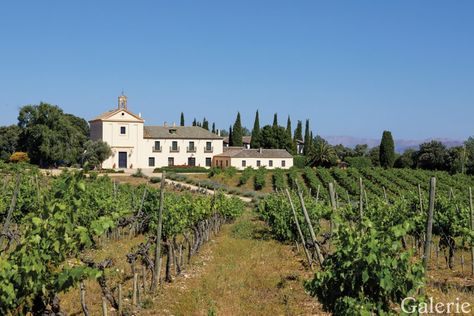 Isabel López-Quesada Crafts a Magnificent Family Getaway in the Spanish Countryside - Galerie Spanish Countryside, Going Off The Grid, Toledo Spain, Country Clubs, Country Retreat, Italian Dining, Family Getaways, Roof Detail, Family Heirloom