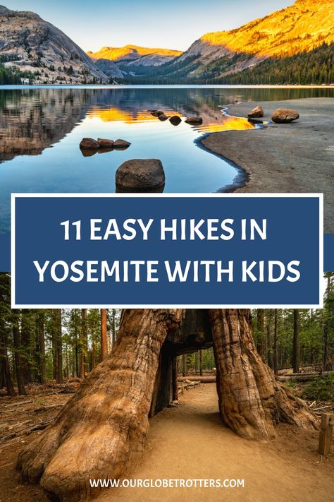 Yosemite National Park is one of the most beautiful and visited parks in the US. It can seem overwhelming to plan a trip to Yosemite, and even more so to figure out what to do - we help you narrow down the options with the 11 easiest hikes in Yosemite that you can undertake with your kids - see all our suggestions at ourglobetrotters.com Yosemite National Park With Kids, Yosemite With Kids, Yosemite Vacation, Yosemite Sequoia, Yosemite Hikes, Tahoe Trip, Congaree National Park, Summertime Blues, Yosemite Trip