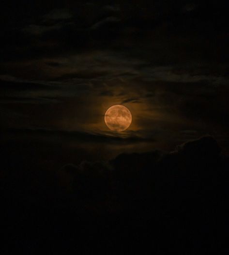 Moody Moon 🌕 New Moon Aesthetic, Moody Pic, Full Moon Pictures, Moon Photos, General Ideas, Moon Pictures, Original Characters, Cd Cover, Night Aesthetic