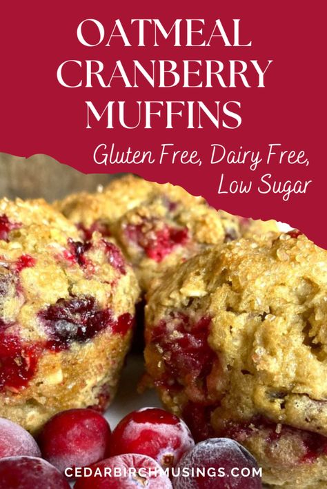 oatmeal cranberry muffins Oatmeal Cranberry Muffins, Gluten Free Cranberry Muffins, Cranberry Oatmeal Muffins, Orange Cranberry Loaf, Muffins Dairy Free, Gluten Free Dairy Free Muffins, Cranberry Recipes Muffins, Orange Muffin Recipe, Muffins Gluten Free