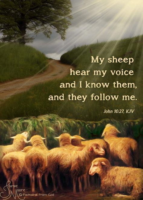 John 10 27, John 10, Hope In Jesus, John 10 10, Christian Song Lyrics, Scripture Of The Day, Christian Journaling, Beautiful Bible Verses, The Good Shepherd