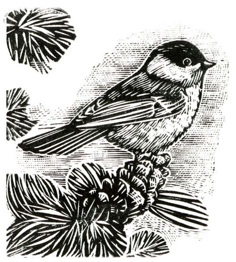 Chickadee - wood engraving - Rick Allen, U.S.A. Duluth Minnesota, Wood Engraving, 21st Century, Letterpress, Minnesota, Muse, 19th Century, Wood